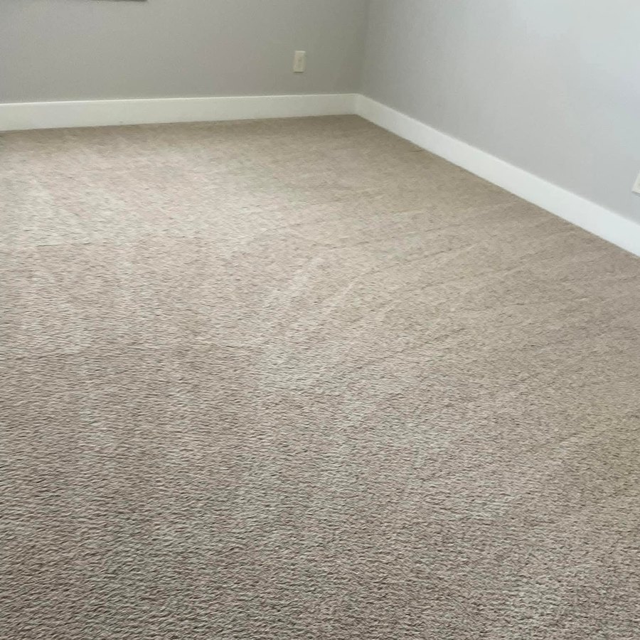 Freshly extracted bedroom by H&K Carpet Pros